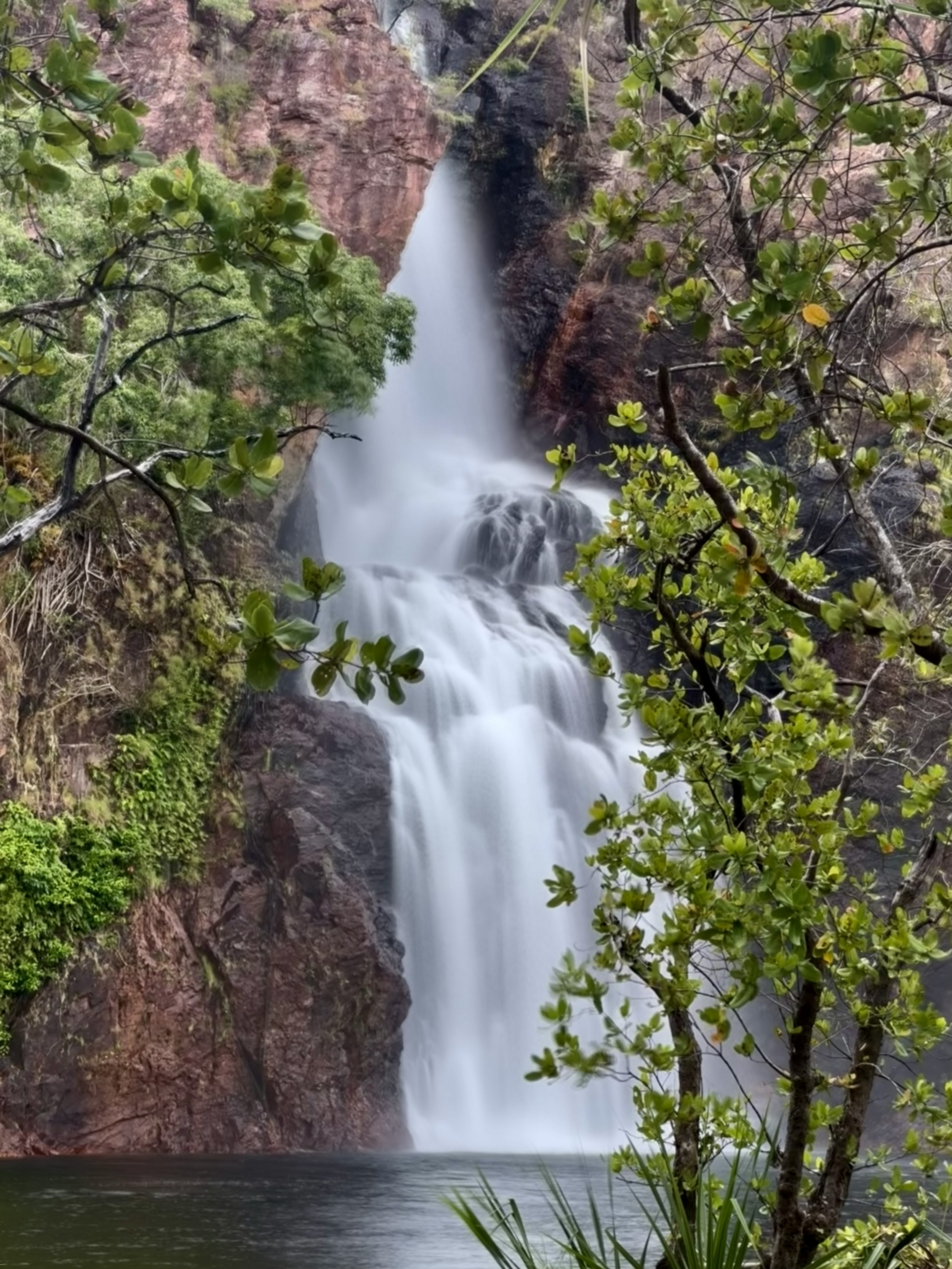 Wangi Falls cascading into the plunge pool, framed by monsoon forest