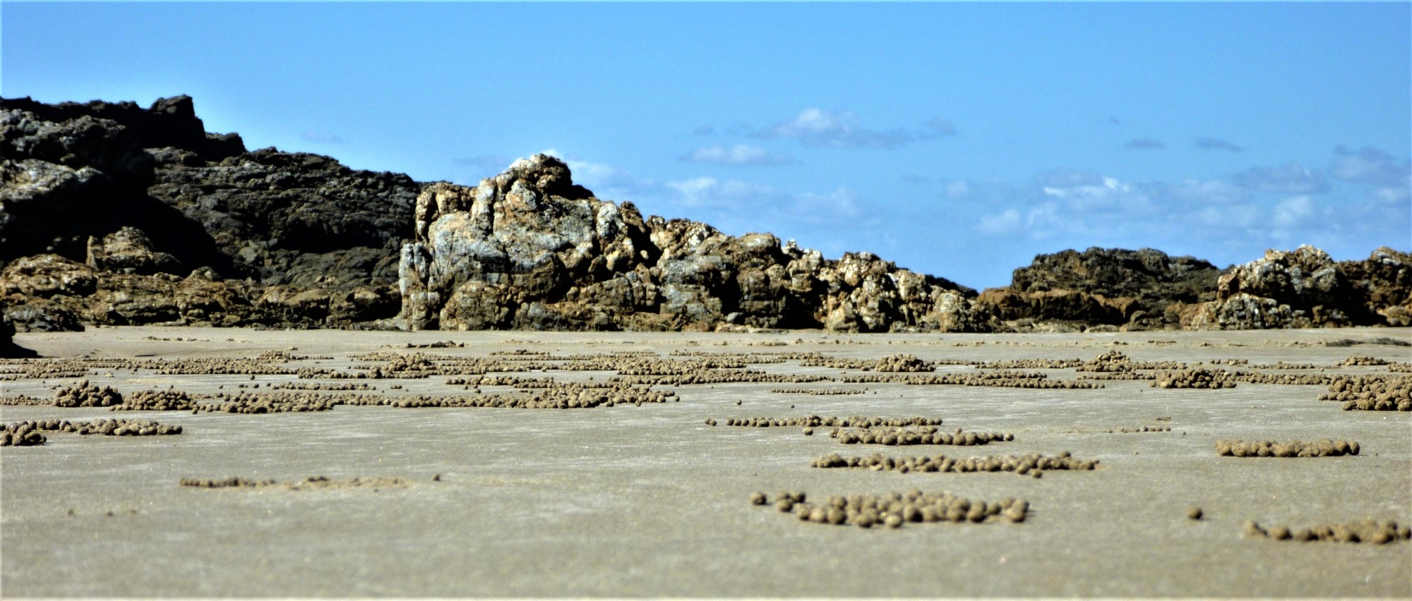 Bubbler crab sand-ball patterns across the tidal flat at the creek entrance, rocky point behind