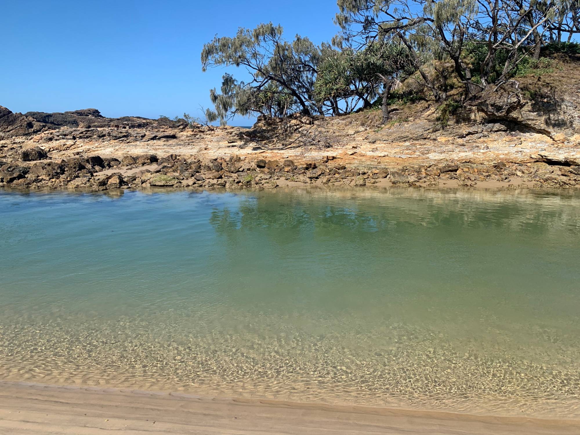 Clear green water in a rock pool at the creek entrance, pandanus trees on the point behind